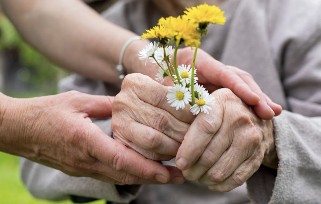 Image of hands around a senior's hands holding a small bunch of white and yellow flowers, symbolising care and support
