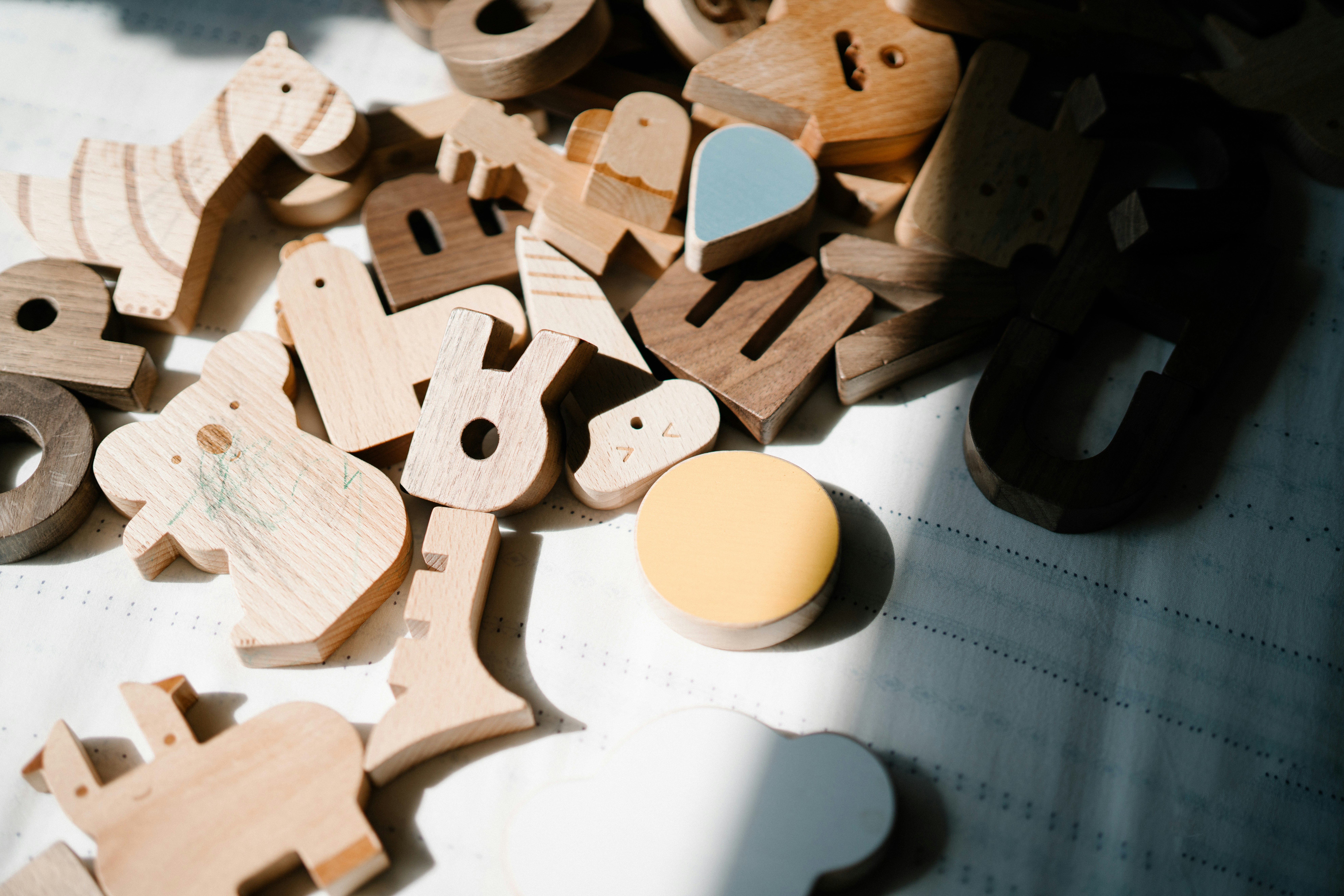 Image of wooden toy animals and alphabets in the sunlight